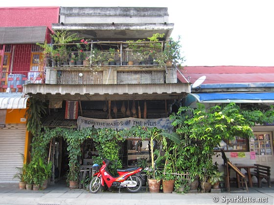 Green shop along Tha Phae Road, Chiang Mai, Thailand