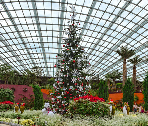 Christmas tree at Gardens by the Bay, Singapore