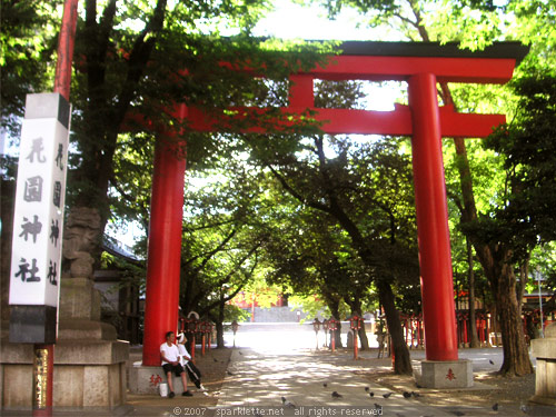 Orangeish red torii gate at the entrance of a Shinto shrine